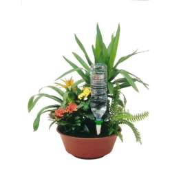 Cône D'Arrosage D'absence : Jusqu'à 25 Cm 7 Cl - S, Orange - Pack 3+1 -Jardin Luxueux Pas Cher Magasin 177127 003