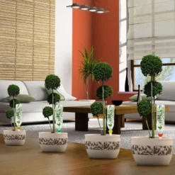 Cône D'Arrosage D'absence : 30 à 40 Cm 20 Cl - M, Vert - Pack 3+1 -Jardin Luxueux Pas Cher Magasin 177131 008