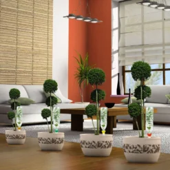 Cône D'Arrosage D'absence : 45 à 60 Cm 30 Cl : L, Jaune - Pack 3+1 -Jardin Luxueux Pas Cher Magasin 177135 007