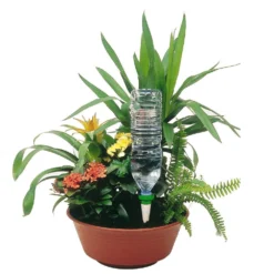 Cône D'Arrosage D'absence : Jardinière Violet - Pack 3+1 (gratuit) -Jardin Luxueux Pas Cher Magasin 366821 004