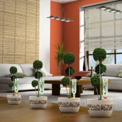 Cône D'Arrosage D'absence : Jardinière Violet - Pack 3+1 (gratuit) -Jardin Luxueux Pas Cher Magasin 366821 006