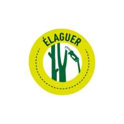 Pack Tronçonneuse Sans Fil Manche Télescopique + Lot De 2 Chaînes-vert -Jardin Luxueux Pas Cher Magasin 6363b0da3561f2.32853623