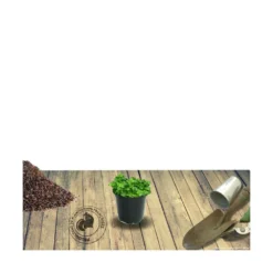 Jardin Luxueux Pas Cher Magasin -Jardin Luxueux Pas Cher Magasin 63f4f005ab5a09.92684487