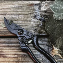 Sécateur - Basic -Jardin Luxueux Pas Cher Magasin 63fefc028cab62.62536057