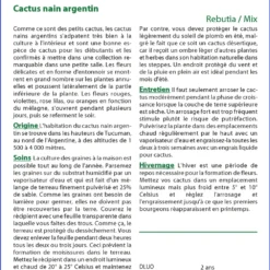 Kit De Culture - Cactus Nain Argentin - 40 Graines - Rebutia / Mix -Jardin Luxueux Pas Cher Magasin 6406411347abb3.06145492