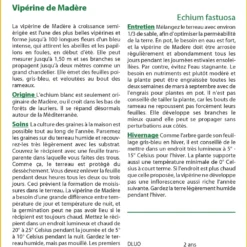 Kit De Culture - Vipérine De Madère - 100 Graines - Echium Fastuosa -Jardin Luxueux Pas Cher Magasin 6406412299e721.92441233