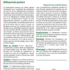 Kit De Culture - Millepertuis Perforé - 300 Graines - Hypericum Perforatum -Jardin Luxueux Pas Cher Magasin 64064130cc2d21.50290776