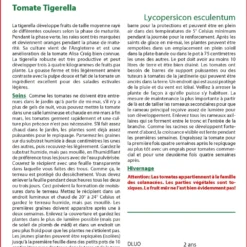 Kit De Culture - Tomate Tigerella - 10 Graines - Lycopersicon Esculentum -Jardin Luxueux Pas Cher Magasin 64064139cf1d13.09091706