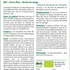 Kit De Culture - Bio - Chou-fleur - Boule De Neige - 70 Graines - Brassica Oleracea Var. Botrytis -Jardin Luxueux Pas Cher Magasin 6406413d407ee0.82661291