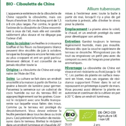 Kit De Culture - Bio - Ciboulette De Chine - 100 Graines - Allium Tuberosum 9 Kit De Culture - Bio - Ciboulette De Chine - 100 Graines - Allium Tuberosum -Jardin Luxueux Pas Cher Magasin 6406414b121373.86359171