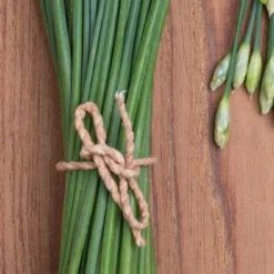 Kit De Culture - Bio - Ciboulette De Chine - 100 Graines - Allium Tuberosum 12 Kit De Culture - Bio - Ciboulette De Chine - 100 Graines - Allium Tuberosum -Jardin Luxueux Pas Cher Magasin 6406414b24e430.90625062