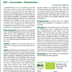 Kit De Culture - Bio - Concombre - Marketmore - 20 Graines - Cucumis Sativus -Jardin Luxueux Pas Cher Magasin 640641696a9b18.60145631