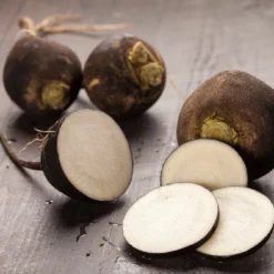 Kit De Culture - Bio - Radis - Noir - 100 Graines - Raphanus Sativus -Jardin Luxueux Pas Cher Magasin 64064173d81689.02005216