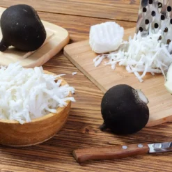 Kit De Culture - Bio - Radis - Noir - 100 Graines - Raphanus Sativus -Jardin Luxueux Pas Cher Magasin 64064174091ed1.10609655