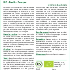 Kit De Culture - Bio - Basilic - Pourpre - 400 Graines - Ocimum Basilicum -Jardin Luxueux Pas Cher Magasin 640641778d8a61.41878619