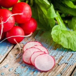 Kit De Culture - Bio - Radis - Cherry Bell - 100 Graines - Raphanus Sativus -Jardin Luxueux Pas Cher Magasin 640641a631b644.14920756