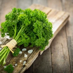 Kit De Culture - Bio - Persil Frisé - 800 Graines - Petroselinum Crispum -Jardin Luxueux Pas Cher Magasin 640641ae9189a2.76545135