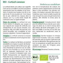 Kit De Culture - Bio - Cerfeuil Commun - 800 Graines - Anthriscus Cerefolium -Jardin Luxueux Pas Cher Magasin 640641c8a98f11.52285899