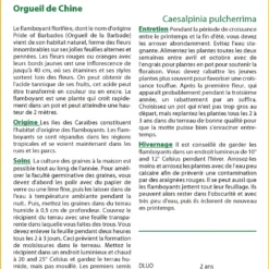 Kit De Culture - Orgueil De Chine - 10 Graines - Caesalpinia Pulcherrima -Jardin Luxueux Pas Cher Magasin 640641f136dc53.00647808