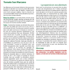 Kit De Culture - Tomate San Marzano - 10 Graines - Lycopersicon Esculentum -Jardin Luxueux Pas Cher Magasin 640641fa3b6bc7.11460226