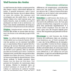 Kit De Culture - Vieil Homme Des Andes - 40 Graines - Oreocereus Celsianus -Jardin Luxueux Pas Cher Magasin 64064213301845.95828863