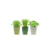 3 Pots D'herbes Aromatiques