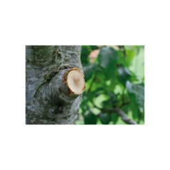 Coupe-branches à Enclume Smartcut Comfort Gardena -Jardin Luxueux Pas Cher Magasin 641da670d3f468.10738563