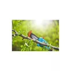 Gardena Elagueuse Sur Perche Tcs 20/18v P4a Avec Batterie -Jardin Luxueux Pas Cher Magasin 641da6793705b1.97358156