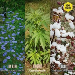 Coffret De Semences Textile Tissus Etoffe Et Fil -Jardin Luxueux Pas Cher Magasin 642d66ace6f211.93606402