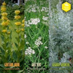 Coffret De Semences Médicinales Aromatique Apéritifs Régionaux 13 Coffret De Semences Médicinales Aromatique Apéritifs Régionaux -Jardin Luxueux Pas Cher Magasin 645a39a750fff5.57002845