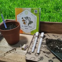 Coffret De Semences Médicinales Aromatique Apéritifs Régionaux 12 Coffret De Semences Médicinales Aromatique Apéritifs Régionaux -Jardin Luxueux Pas Cher Magasin 645a39a7621da9.71396115