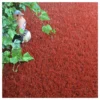 Gazon Synthétique Peps - Couleur Rouge Brique - 20mm - 2m X 3m