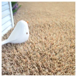 Gazon Synthétique Arty - Couleur Beige - 20mm - 1m X 7m