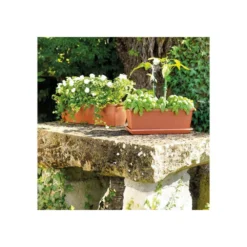 Jardiniere Day R Cotto - Coloris Terre Rouge - 50cm -Jardin Luxueux Pas Cher Magasin 645cf55caebad8.93526619