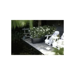 Elho Jardiniere Green Basics 60 - Vivre Noir - Extérieur - Xxl - L 29,5 X W 59,2 X H 27,7 Cm -Jardin Luxueux Pas Cher Magasin 645cf561d8fe90.64348998