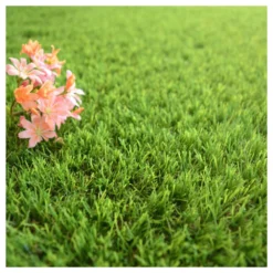 Gazon Synthétique Fontainebleau - 30mm - 1m X 9m -Jardin Luxueux Pas Cher Magasin 645d645d3244b6.85261918