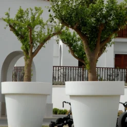 Pot De Fleurs Magnolia 160 ø160x152cm - Anthracite -Jardin Luxueux Pas Cher Magasin 6470a364705c04.06641420