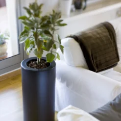 Pot De Fleurs Rond Palma 70 Noir Opaque ø35x70cm -Jardin Luxueux Pas Cher Magasin 6470a378b67063.35409589