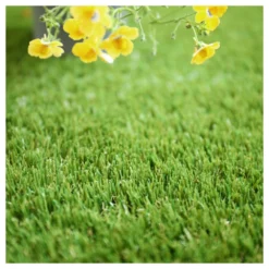 Gazon Synthétique New Eden - 35mm - 1m X 3m -Jardin Luxueux Pas Cher Magasin 6476ea4f2ce4f0.98094208