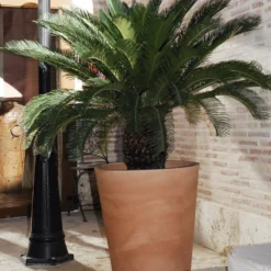 Pot De Fleurs Gerbera ø50x59,5cm - Couleur Terracota -Jardin Luxueux Pas Cher Magasin 6478c7f37132f4.43209447