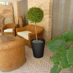 Pot De Fleurs Gerbera ø50x59,5cm - Anthracite -Jardin Luxueux Pas Cher Magasin 6478c7f4b074b2.90633905