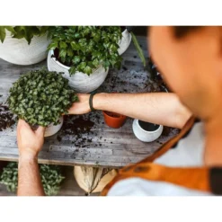 Ensemble De Pot De Fleurs Boule Nature Rib Ivoire -Jardin Luxueux Pas Cher Magasin 647989580b9a73.15976292