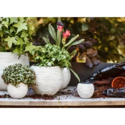 Ensemble De Pot De Fleurs Boule Nature Rib Ivoire -Jardin Luxueux Pas Cher Magasin 64798958102562.13059952