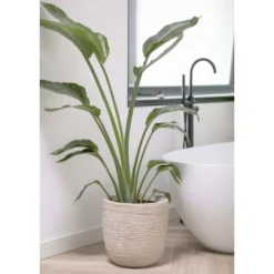 Pot à Fleurs Waste Rib 43x41 Cm Beige Terrazzo -Jardin Luxueux Pas Cher Magasin 6479895e5992f2.75165785