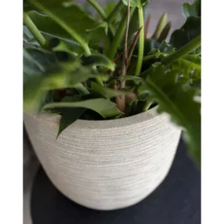 Pot à Fleurs Waste Rib 43x41 Cm Beige Terrazzo -Jardin Luxueux Pas Cher Magasin 6479895e5d9788.64968332