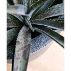 Pot à Fleurs Waste Smooth 35x34 Cm Gris -Jardin Luxueux Pas Cher Magasin 6479895f3d13c8.20407758