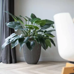 Vase élégant Groove 46x58 Cm Anthracite -Jardin Luxueux Pas Cher Magasin 6482c45ae14806.82498096