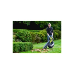 Souffleur Aspiro-broyeur Ryobi 36v Rbv36b -Jardin Luxueux Pas Cher Magasin 648318384c7a39.67198189