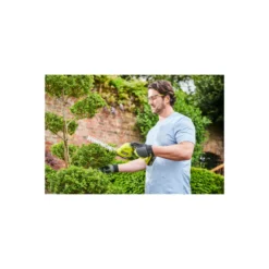 Cisaille - Sculpteur De Végétaux Ryobi - Ry18gsa-0 - 18v Oneplus - Sans Batterie Ni Chargeur -Jardin Luxueux Pas Cher Magasin 64831c0cbc0dd1.84255741