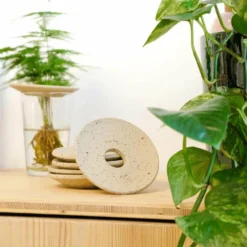 Coupelle D'hydroculture -Jardin Luxueux Pas Cher Magasin 648761292b6a81.51148422